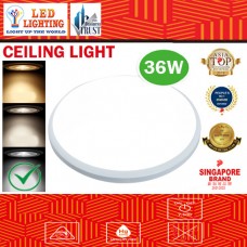 36W 171 CEILING LAMP-WHITE