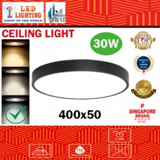 30W SURFACE CEILING LIGHT