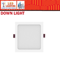LED DOB DOWN LIGHT