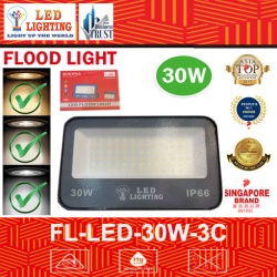 30W LED FLOOD LIGHT