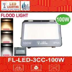 100W LED FLOOD LIGHT