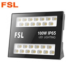 100W FSL 808 FLOOD LIGHT