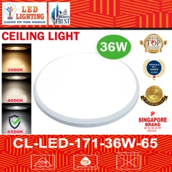 LED CILLING LIGHT