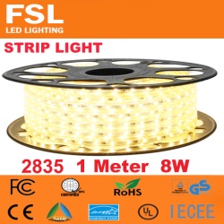 FSL OUTDOOR STRIP LIGHT
