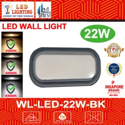 LED 22W WALL LAMP