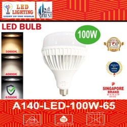 LED BULB100W