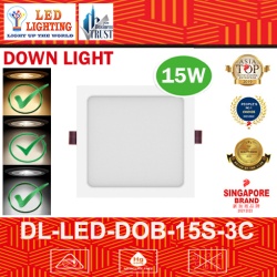 15W LED DOB DOWN LIGHT