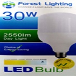 30W MLS LIGHT BULB