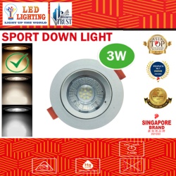 3W LED SPORT DOWN LIGHT